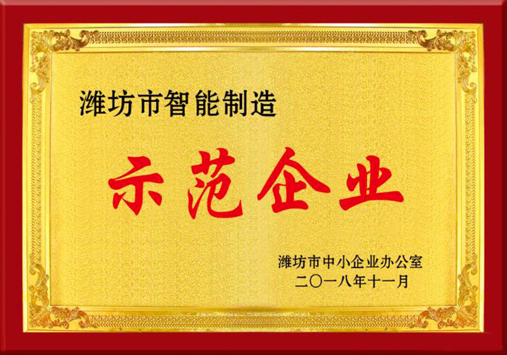 濰(wei)坊市智能(neng)制造示範(fan)企業